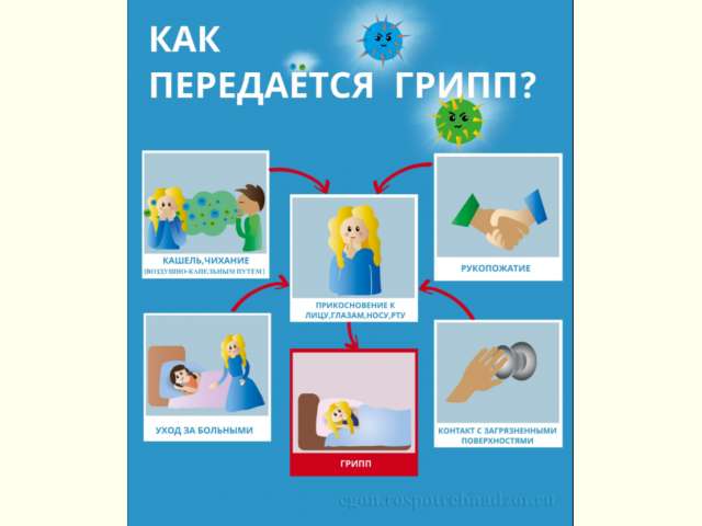 ������� ������ ���� � ������