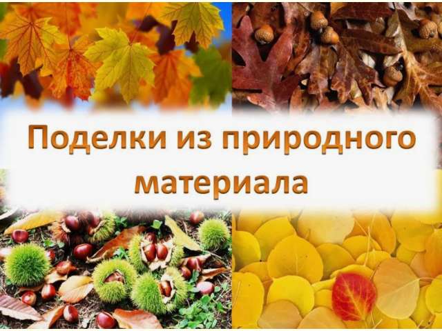 ���� ����������. ���-������� �� ��������� ����������.